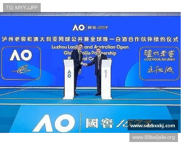 欧博官网abg用哪个浏览器好，详细分析不同浏览器的优缺点与适用场景